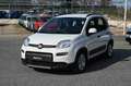 Fiat Panda 1.0 FireFly S&S Hybrid City Life Bianco - thumbnail 1