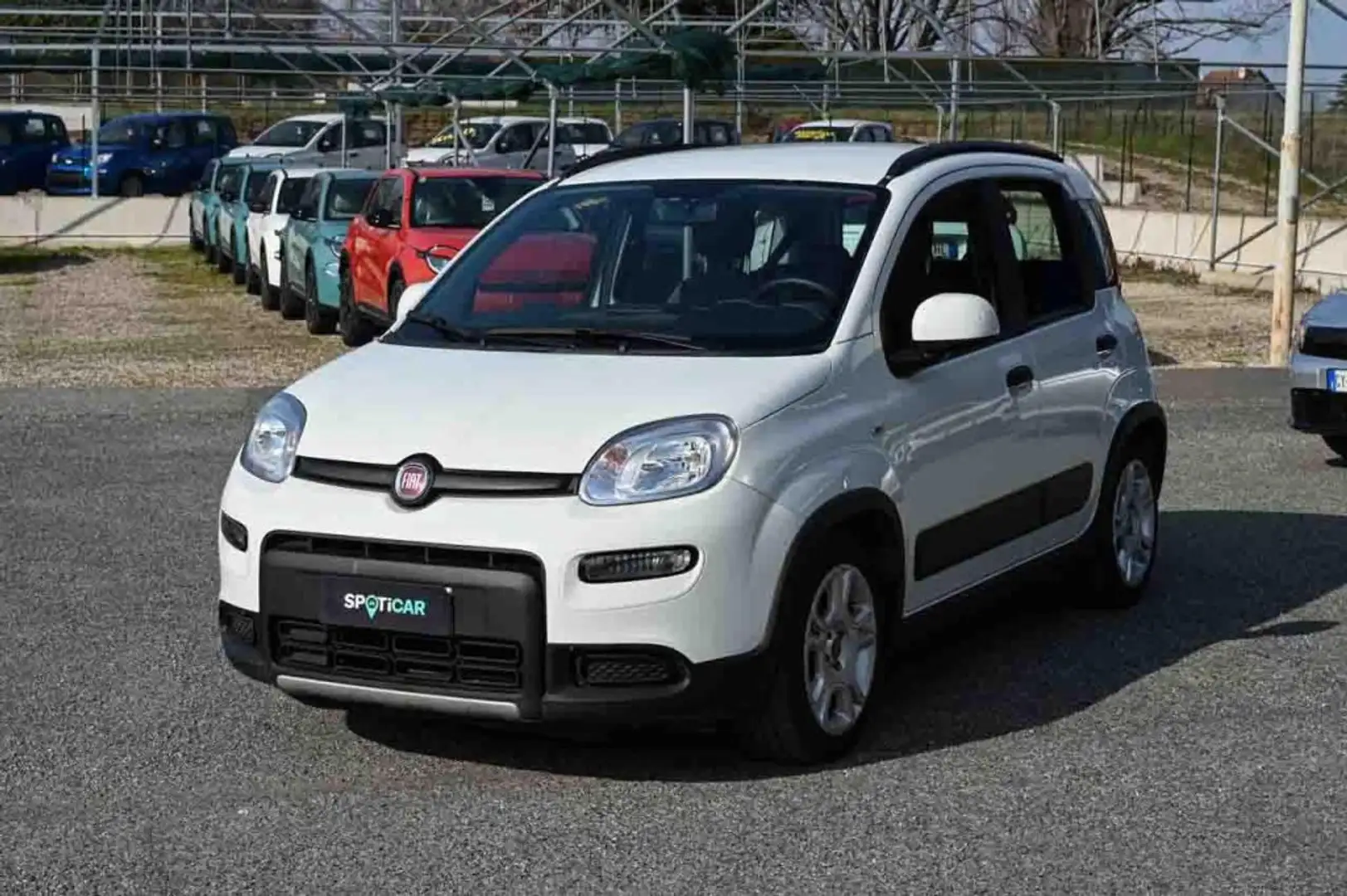 Fiat Panda 1.0 FireFly S&S Hybrid City Life Bianco - 1