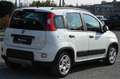 Fiat Panda 1.0 FireFly S&S Hybrid City Life Bianco - thumbnail 3