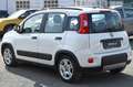 Fiat Panda 1.0 FireFly S&S Hybrid City Life Bianco - thumbnail 4