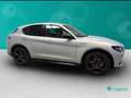 Alfa Romeo Stelvio 2.2 Turbo Competizione Gris - thumbnail 7