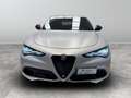 Alfa Romeo Stelvio 2.2 Turbo Competizione Grau - thumbnail 2
