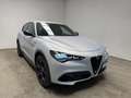 Alfa Romeo Stelvio 2.2 Turbo Competizione Gris - thumbnail 1