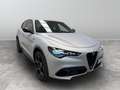 Alfa Romeo Stelvio 2.2 Turbo Competizione Grigio - thumbnail 1