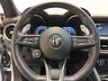 Alfa Romeo Stelvio 2.2 Turbo Competizione Gris - thumbnail 11