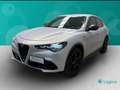 Alfa Romeo Stelvio 2.2 Turbo Competizione Gris - thumbnail 5