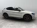 Alfa Romeo Stelvio 2.2 Turbo Competizione Grigio - thumbnail 7