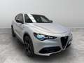 Alfa Romeo Stelvio 2.2 Turbo Competizione Grau - thumbnail 1