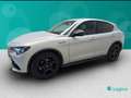 Alfa Romeo Stelvio 2.2 Turbo Competizione Gris - thumbnail 9