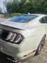 Ford Mustang Mustang Fastback 5.0 Ti-VCT V8 Aut. GT Silber - thumbnail 3