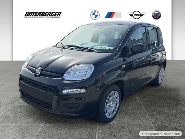 Fiat Sonstige