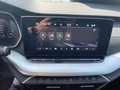 Skoda Octavia Combi Selection 2.0 TDI DSG Grau - thumbnail 18