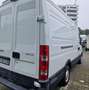 Iveco Daily 35 S 13 CV Vendor Weiß - thumbnail 7