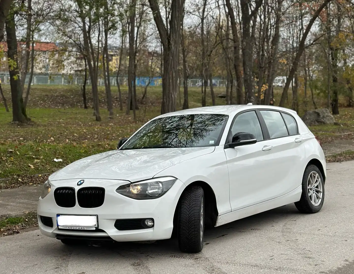 BMW 116 116d Blanco - 1
