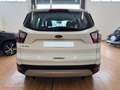 Ford Kuga Kuga 2.0 tdci Business s Bianco - thumbnail 7