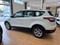 Ford Kuga Kuga 2.0 tdci Business s Bianco - thumbnail 10