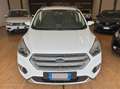 Ford Kuga Kuga 2.0 tdci Business s Bianco - thumbnail 3