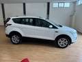 Ford Kuga Kuga 2.0 tdci Business s Bianco - thumbnail 5
