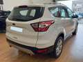 Ford Kuga Kuga 2.0 tdci Business s Bianco - thumbnail 6