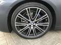 BMW 530 d NaviProf Leder HK M Sport P-Dach Gris - thumbnail 30