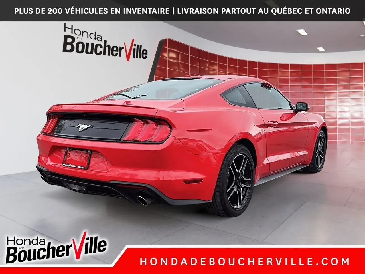 Ford Mustang fotografie Ford Mustang