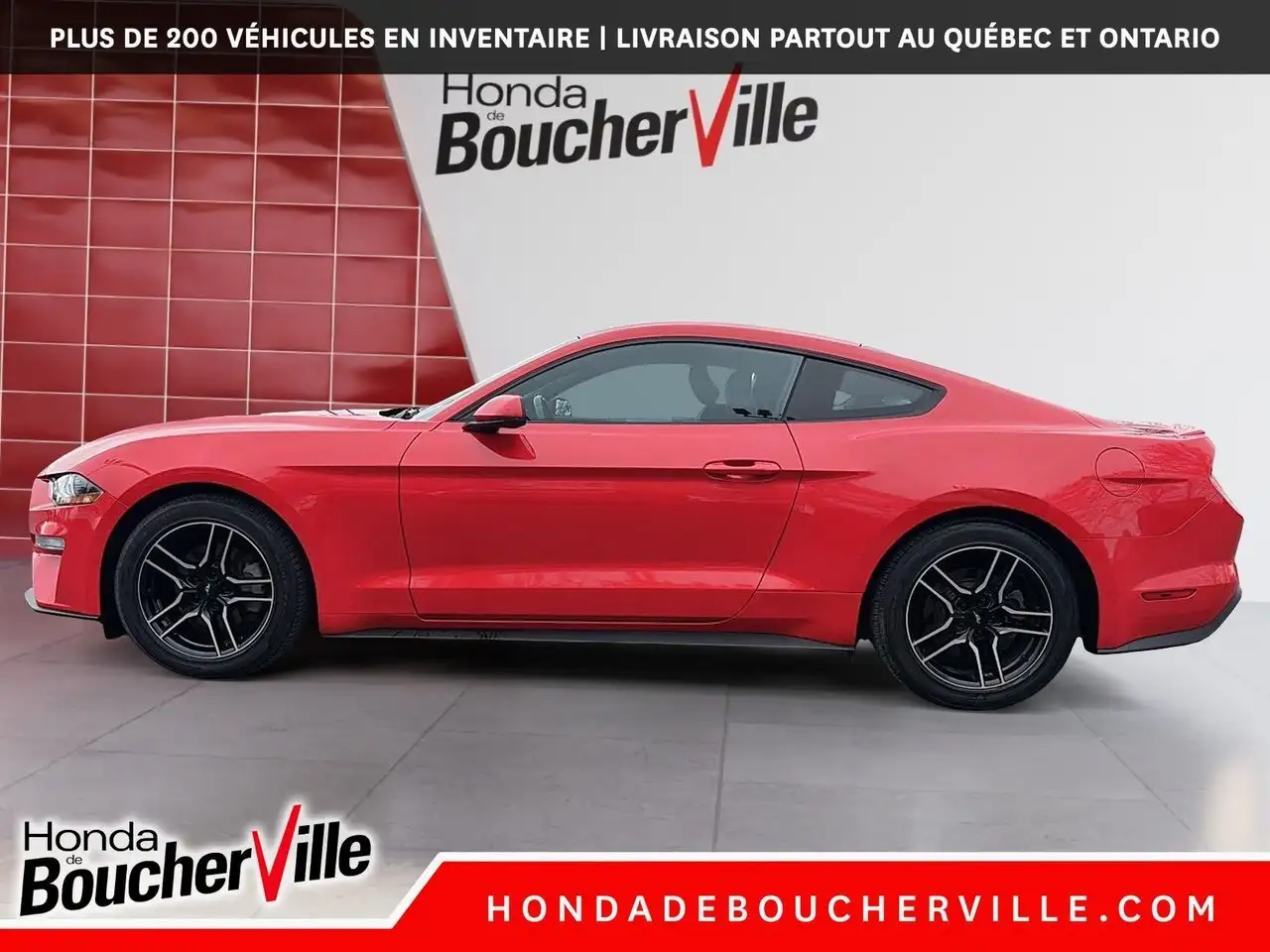 Ford Mustang fotografie Ford Mustang