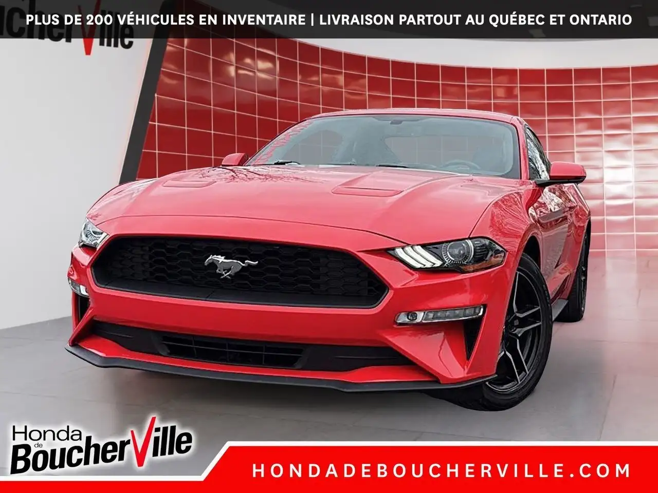 Ford Mustang fotografie Ford Mustang