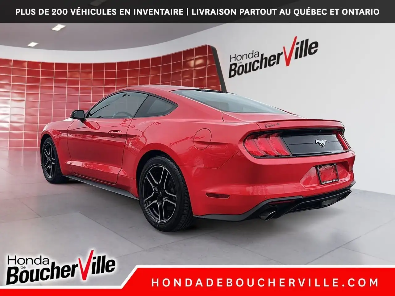 Ford Mustang fotografie Ford Mustang