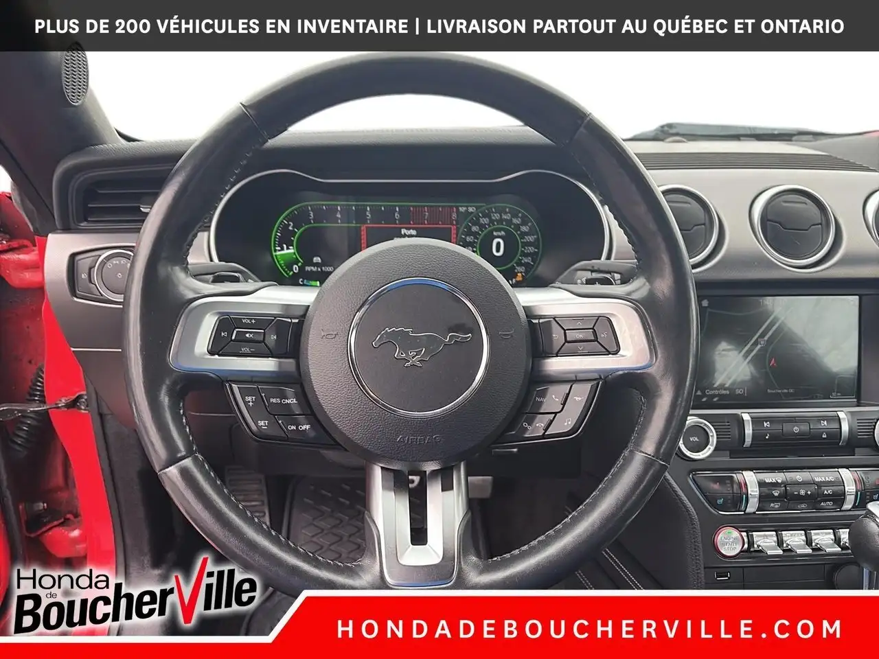 Ford Mustang fotografie Ford Mustang