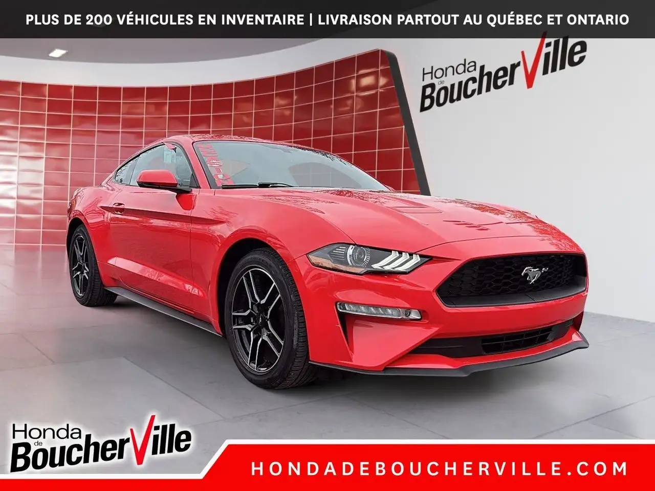 Ford Mustang fotografie Ford Mustang