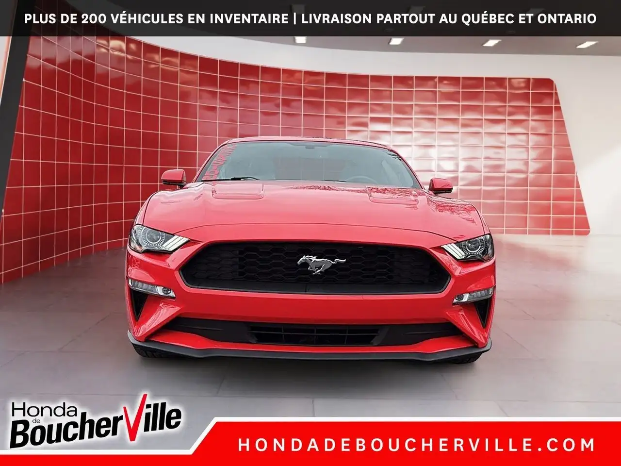 Ford Mustang fotografie Ford Mustang