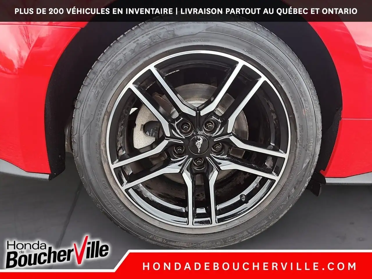 Ford Mustang fotografie Ford Mustang