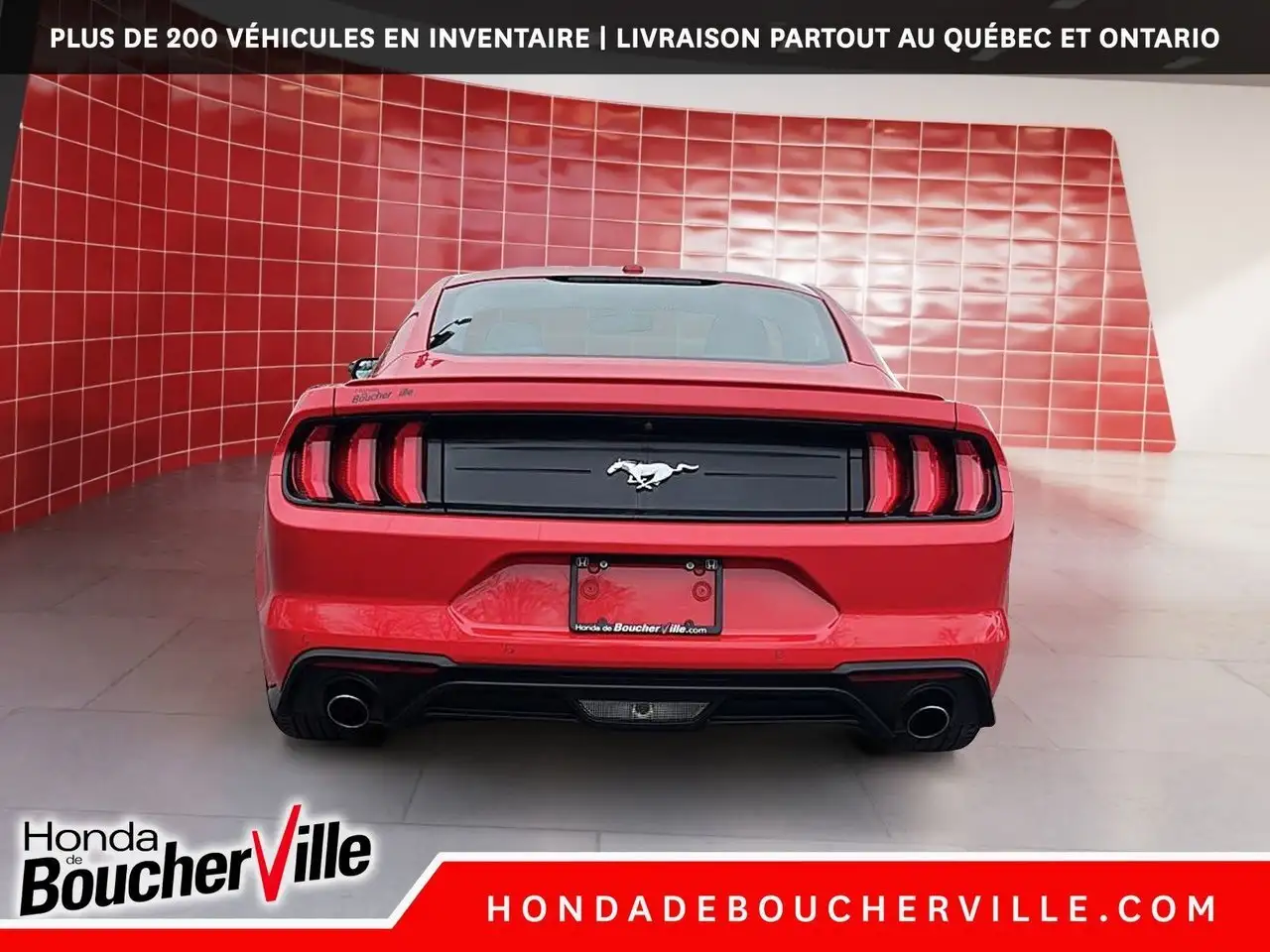 Ford Mustang fotografie Ford Mustang