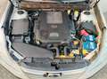 Subaru OUTBACK Outback 2.0d Trend Leather Weiß - thumbnail 13