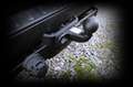 Ford Transit Custom 300 L2 Trend*DoKa*PDC*SORTIMO*AHK Blanc - thumbnail 25