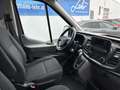 Ford Transit Transit Kasten 2,0 EcoBlue L2H2 350 Trend Aut. Grau - thumbnail 11