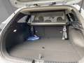 Kia Ceed SW / cee'd SW Sportswagon Ultimate Edition 1.5T-GDI Design-Paket Argento - thumbnail 12