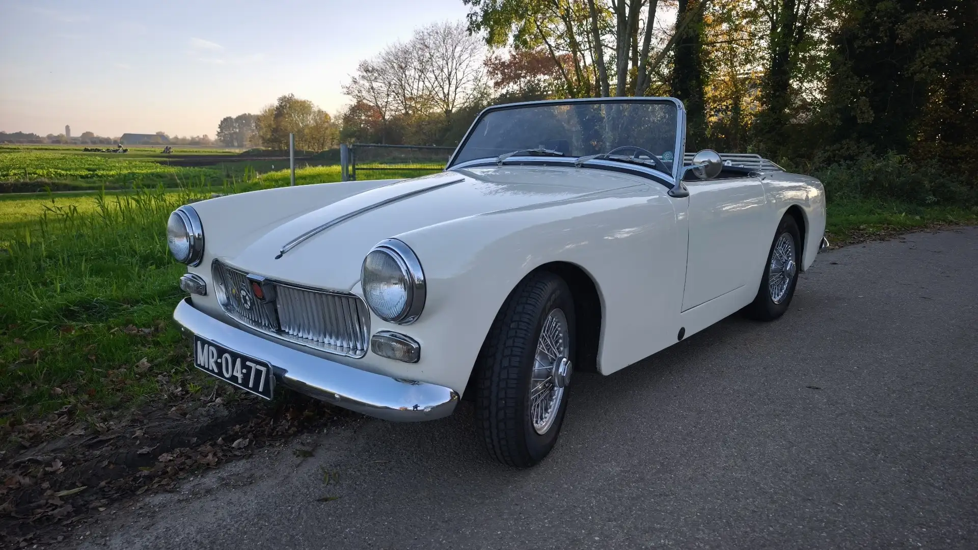 MG Midget Weiß - 2