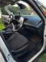 Renault Scenic 1.5 dci Energy Sport Edition 110cv my18 Blanco - thumbnail 12