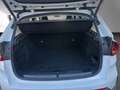 BMW iX1 xDrive30 ACC Sportsitze Premiumpaket Weiß - thumbnail 12