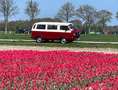Volkswagen T3 Caravelle SY CL 255 597/Z20 Rot - thumbnail 4