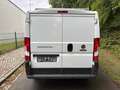 Fiat Ducato 2.0Multijet 115PS L1H1 Regalsystem Blanco - thumbnail 5