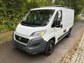 Fiat Ducato 2.0Multijet 115PS L1H1 Regalsystem Blanco - thumbnail 1