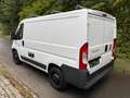 Fiat Ducato 2.0Multijet 115PS L1H1 Regalsystem Blanco - thumbnail 4