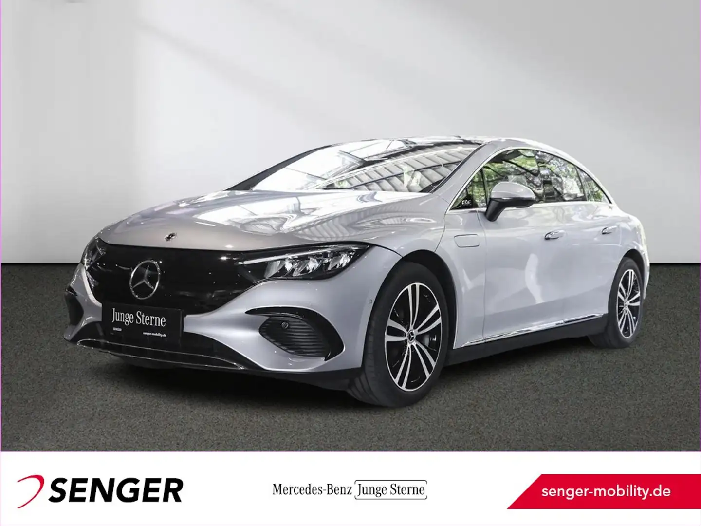 Mercedes-Benz EQE 300 Electric Art Panorama Keyless-Go LED AHK Silber - 1