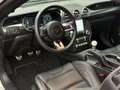 Ford Mustang 5.0V8 GT MACH-1 460CV 1RE MAIN GPS ACC RECARO FULL Gris - thumbnail 10