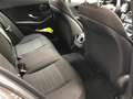 Mercedes-Benz C 300 Estate C300 de Advantage |2020|Grijs| Grijs - thumbnail 16