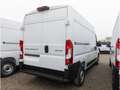 Peugeot Boxer Cargo L2H2  335  BlueHDi 140 PS Schalter Weiß - thumbnail 2