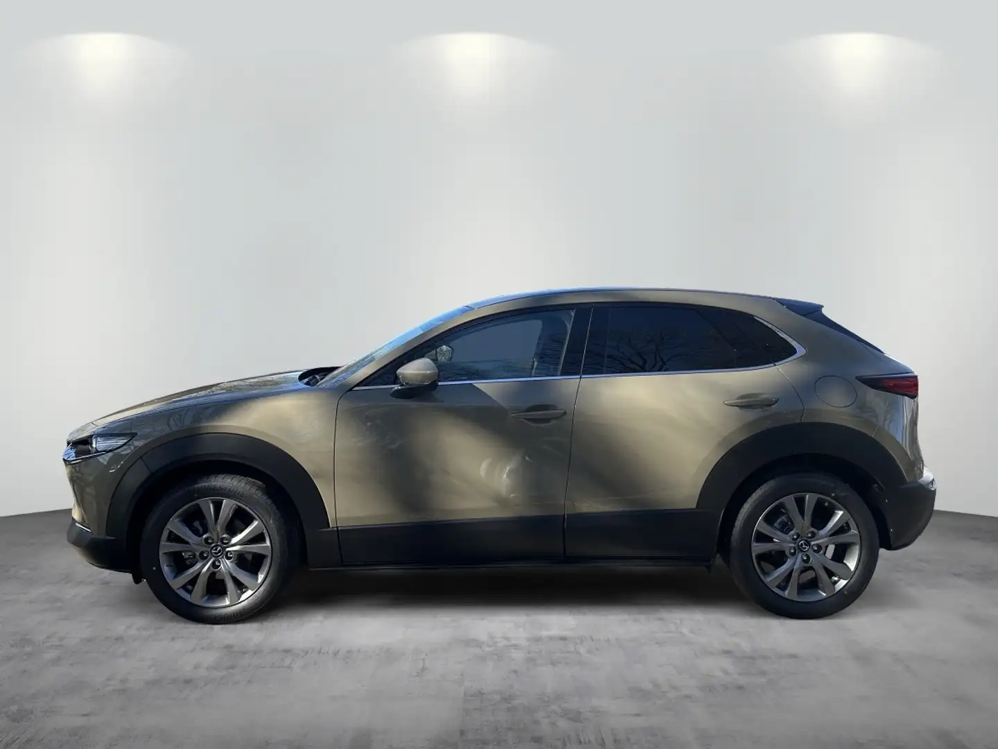 Mazda CX-30 2.5L e-SKYACTIV G 140ps Beige - 2