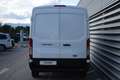 Ford Transit 350 L2 Basis Weiß - thumbnail 6